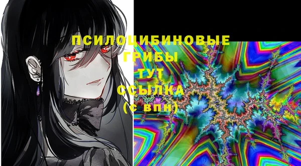 марки lsd Белокуриха