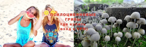 марки lsd Белокуриха