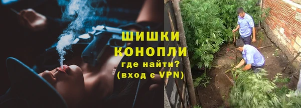 марки lsd Белокуриха