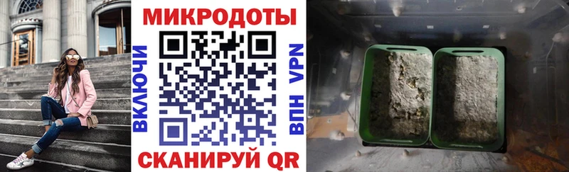 Галлюциногенные грибы Psilocybe  Ростов-на-Дону 